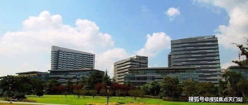 上海普陀北岸長風(fēng) 數(shù)字化轉(zhuǎn)型浪潮下的中小企業(yè)網(wǎng)絡(luò)技術(shù)服務(wù)新高地